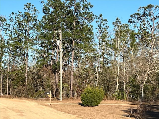 Goreville Ave, Alford, FL 32420 - photo 2