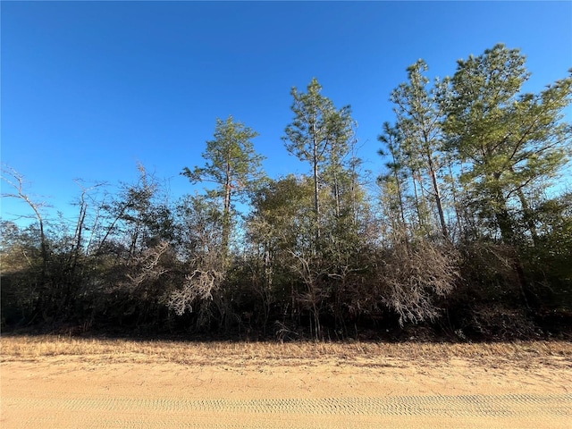 Goreville Ave, Alford, FL 32420 - photo 3