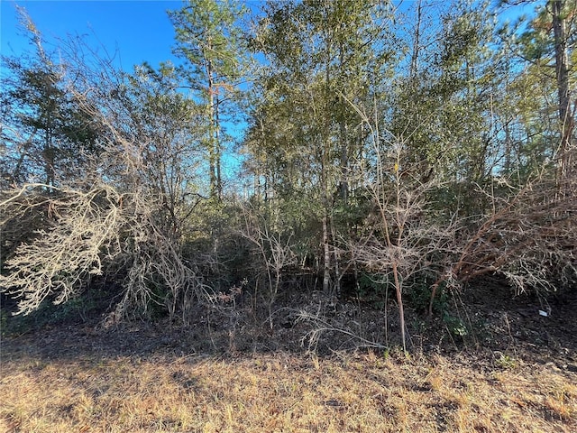 Goreville Ave, Alford, FL 32420 - photo 4