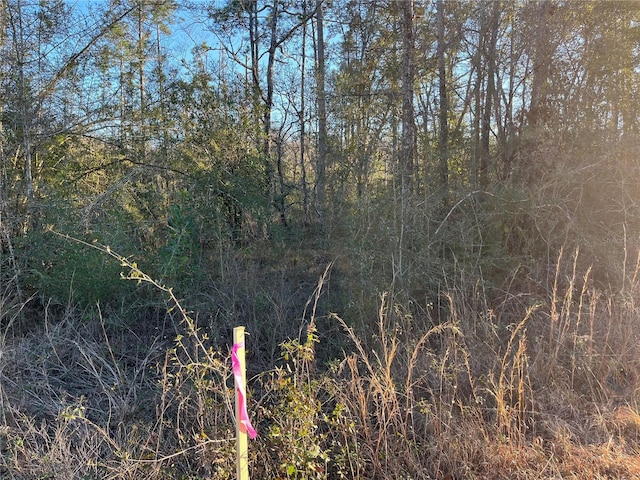 Goreville Ave, Alford, FL 32420 - photo 7