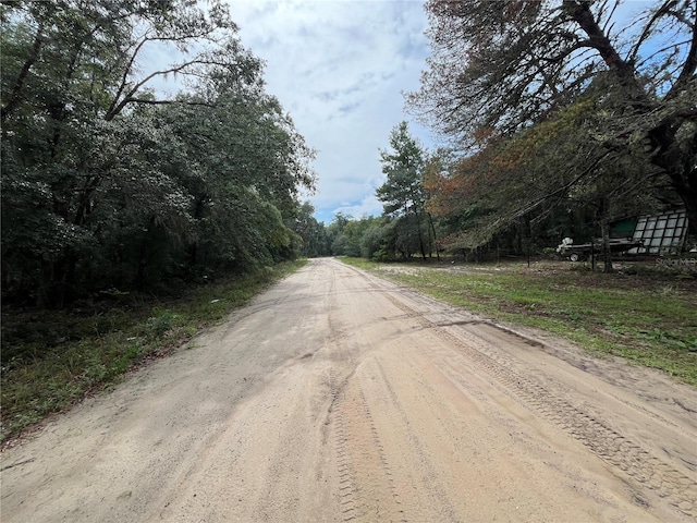TBD Rintz St, Interlachen, FL 32148 - photo 3