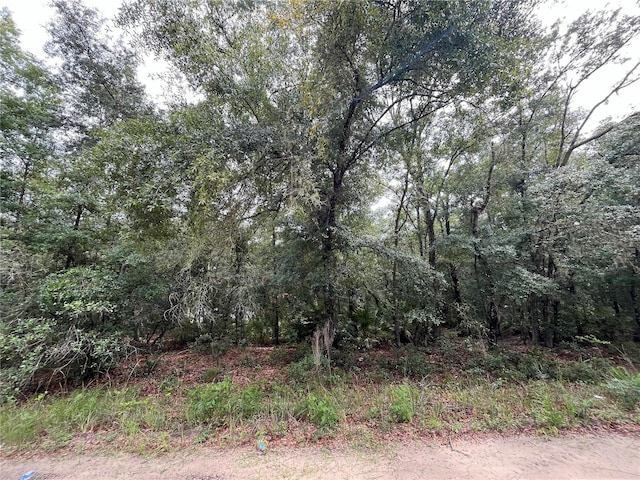 TBD Rintz St, Interlachen, FL 32148 - photo 4