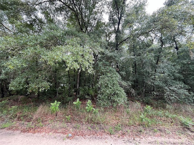 TBD Rintz St, Interlachen, FL 32148 - photo 6