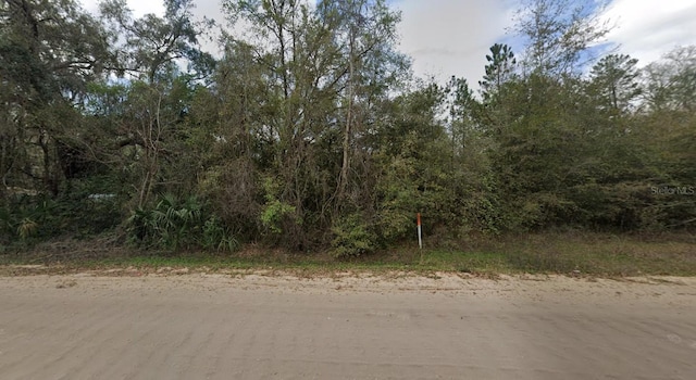 915 Annette Ave, Interlachen, FL 32148 - photo 2