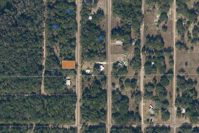 915 Annette Ave, Interlachen, FL 32148 - photo 12