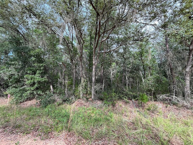 304 Gloria Ave, Interlachen, FL 32148 - photo 5