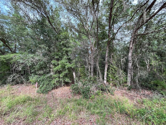 304 Gloria Ave, Interlachen, FL 32148 - photo 6