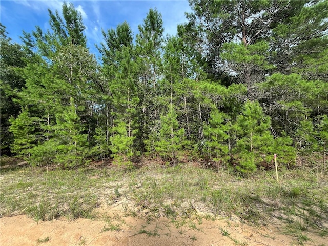 TBD Neisman, Interlachen, FL 32148 - photo 1