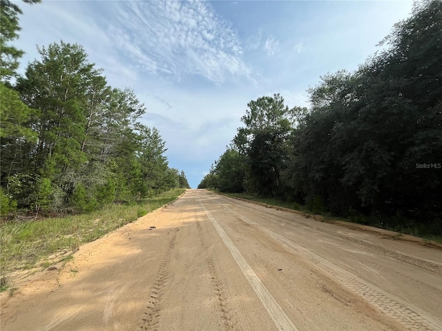 TBD Neisman, Interlachen, FL 32148 - photo 2