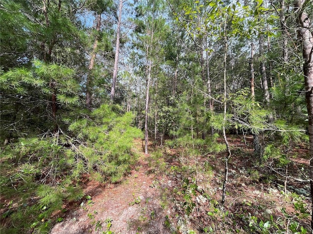 TBD Neisman, Interlachen, FL 32148 - photo 4