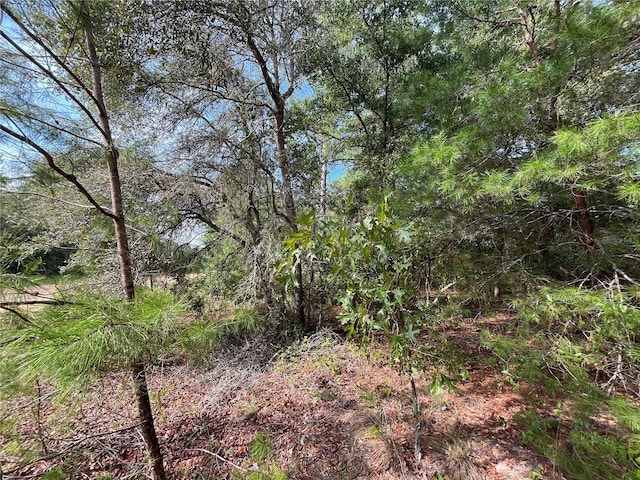 TBD Neisman, Interlachen, FL 32148 - photo 5