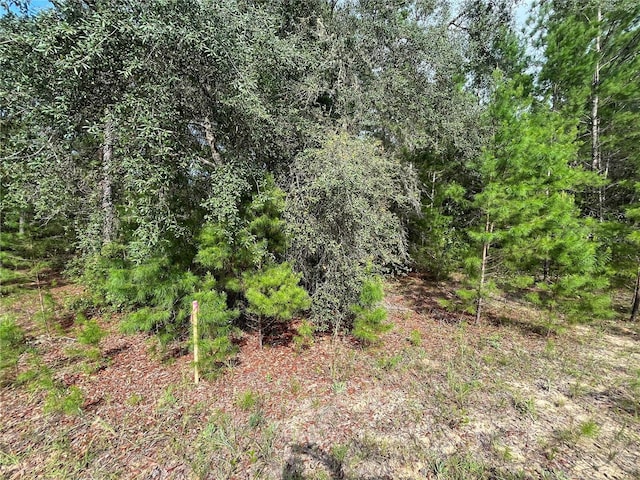 TBD Neisman, Interlachen, FL 32148 - photo 6