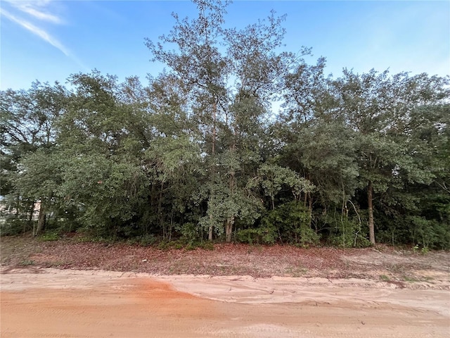 512 Oakcrest Dr, Interlachen, FL 32148 - photo 3