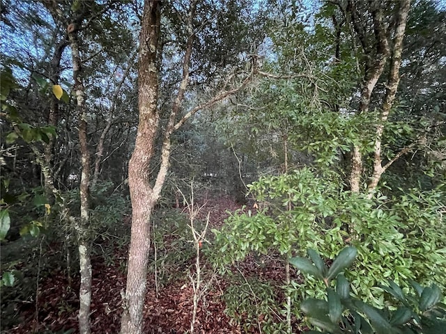 512 Oakcrest Dr, Interlachen, FL 32148 - photo 4