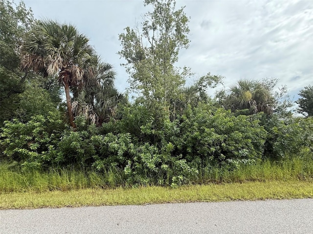 LOT30 Snug St, North Port, FL 34286 - photo 1