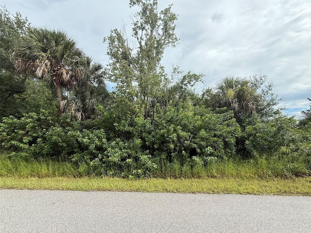 LOT30 Snug St, North Port, FL 34286 - photo 3
