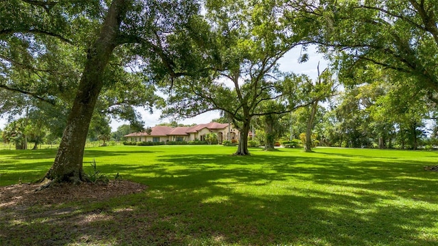 2085 SE 4th St, Okeechobee, FL 34974 - photo 5