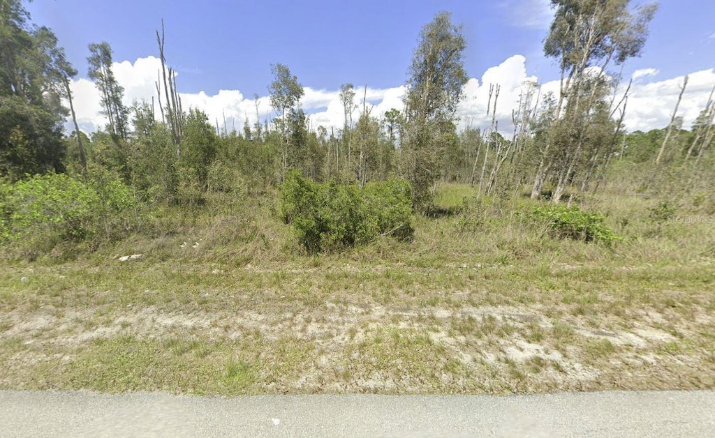 3130 Meadow Rd, Lehigh Acres, FL 33974 - photo 1
