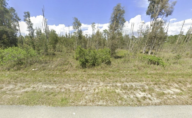 3130 Meadow Rd, Lehigh Acres, FL 33974 - photo 1