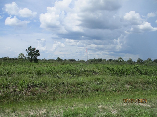 17771 NW 302nd St, Okeechobee, FL 34972 - photo 2