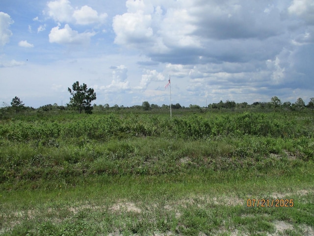 17771 NW 302nd St, Okeechobee, FL 34972 - photo 3