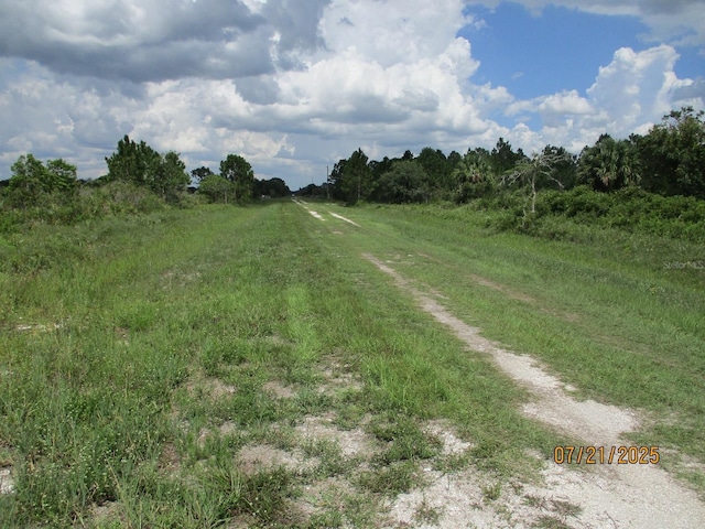17771 NW 302nd St, Okeechobee, FL 34972 - photo 7