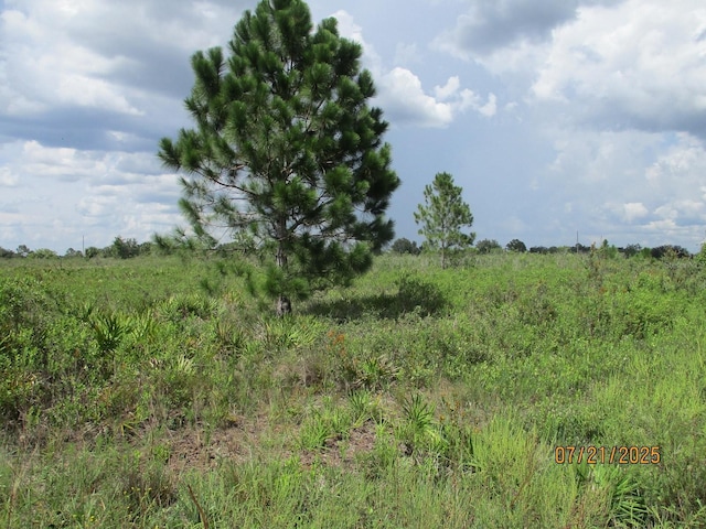 17771 NW 302nd St, Okeechobee, FL 34972 - photo 8
