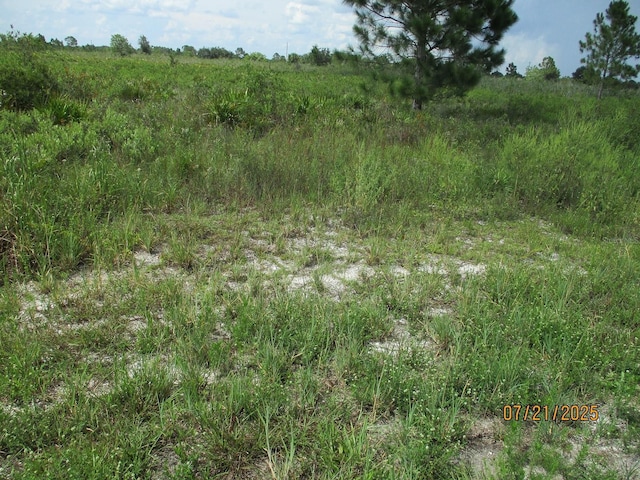 17771 NW 302nd St, Okeechobee, FL 34972 - photo 9