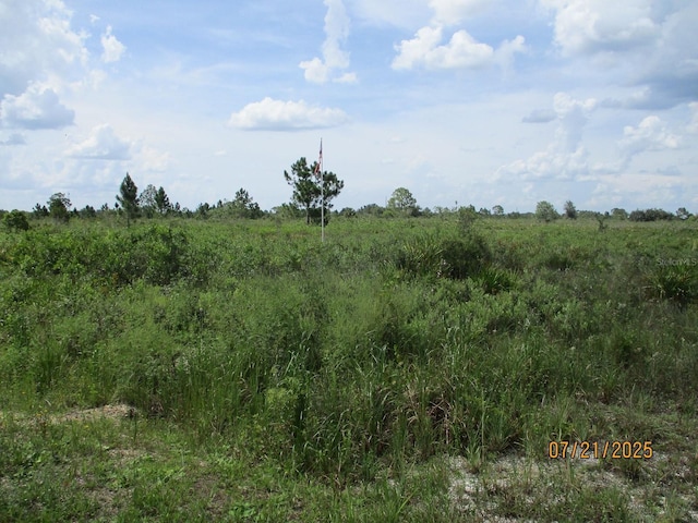 17771 NW 302nd St, Okeechobee, FL 34972 - photo 10