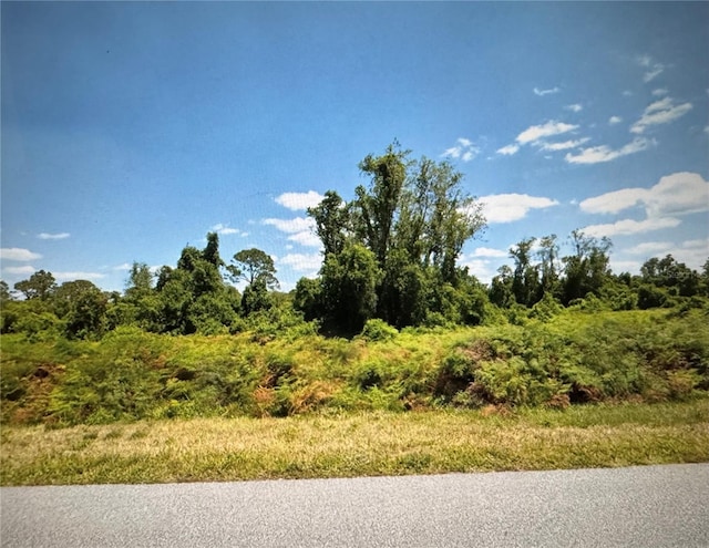 449 Hallmark Ave, Lake Placid, FL 33852 - photo 1