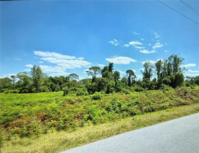 449 Hallmark Ave, Lake Placid, FL 33852 - photo 2
