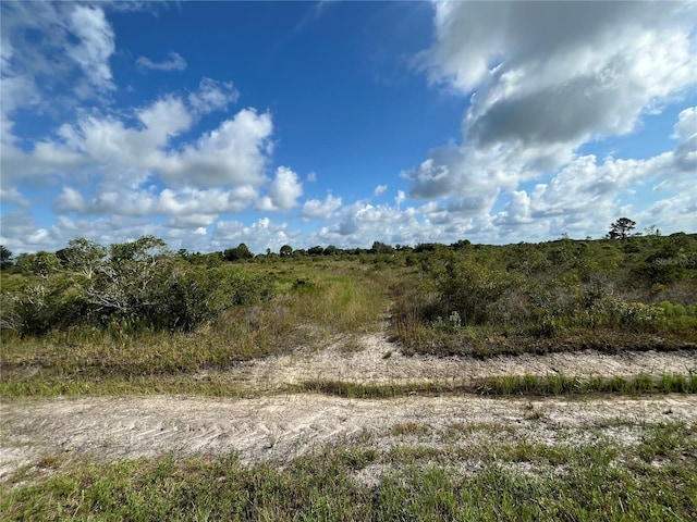 17487 NW 312th St, Okeechobee, FL 34972 - photo 2