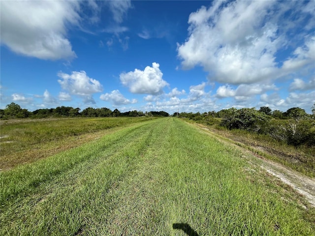 17487 NW 312th St, Okeechobee, FL 34972 - photo 4
