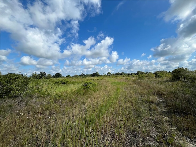 17487 NW 312th St, Okeechobee, FL 34972 - photo 6
