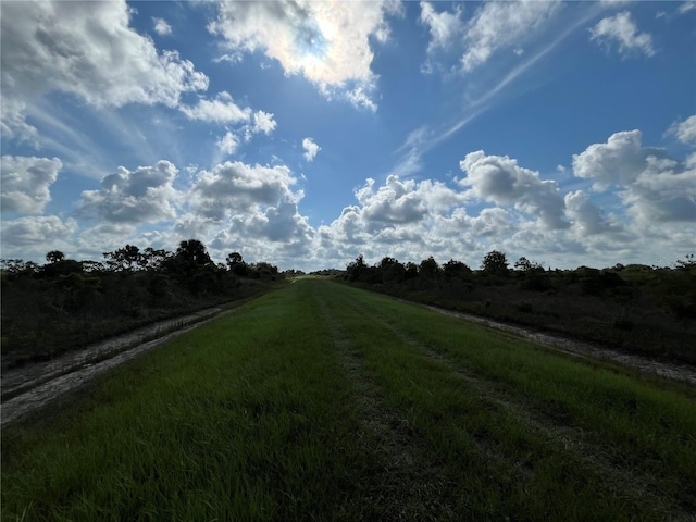 17487 NW 312th St, Okeechobee, FL 34972 - photo 8