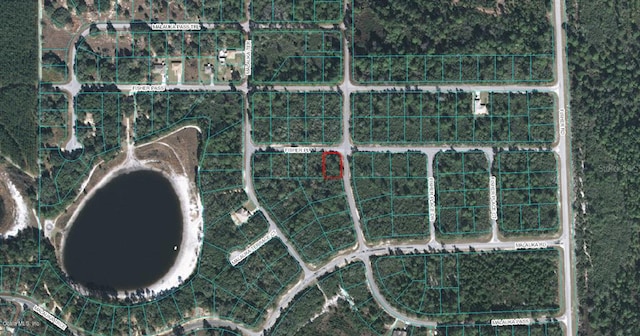 00 Fisher Pl, Ocklawaha FL, 32179 land for sale