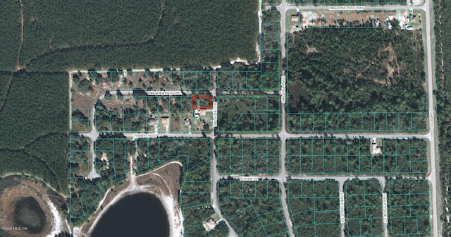 00 Malauka Ter, Ocklawaha FL, 32179 land for sale