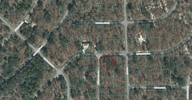 00 Guava Pass Crse, Ocklawaha FL, 32179 land for sale