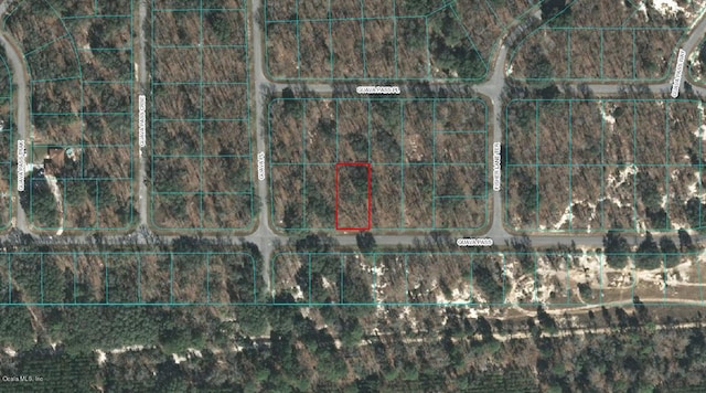 00 Guava Pass, Ocklawaha FL, 32179 land for sale