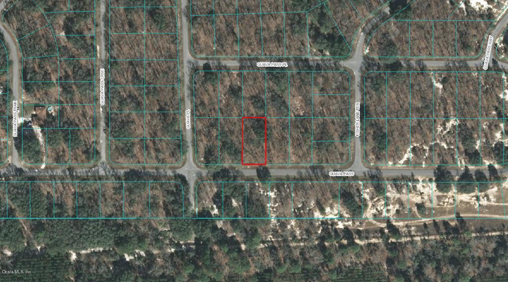 00 Guava Pass, Ocklawaha, FL 32179 - photo 1