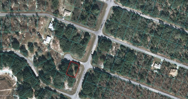 00 Malauka Dr, Ocklawaha FL, 32179 land for sale