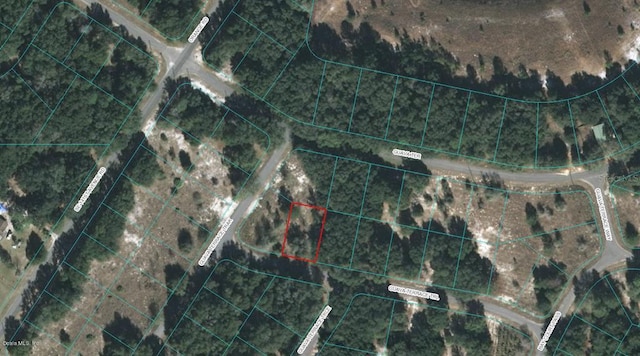 00 Guava Terrace Trl, Ocklawaha FL, 32179 land for sale