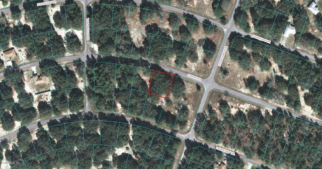 00 Fisher Ter, Ocklawaha FL, 32179 land for sale