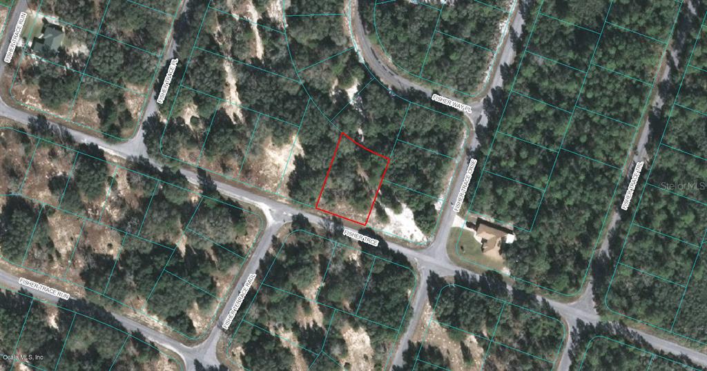 00 Fisher Trce, Ocklawaha, FL 32179