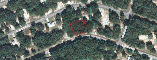 00 Fisher Way Loop, Ocklawaha FL, 32179 land for sale