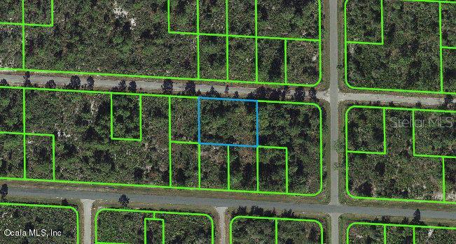 3506 Pheasant Ave, Lake Placid, FL 33852 - photo 1