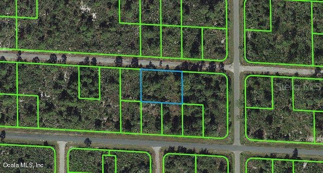 3506 Pheasant Ave, Lake Placid, FL 33852 - photo 1