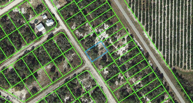 532 Morningside Dr, Lake Placid, FL 33852 - photo 1