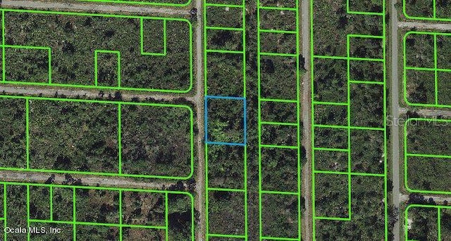 941 Davis St, Lake Placid, FL 33852 - photo 1