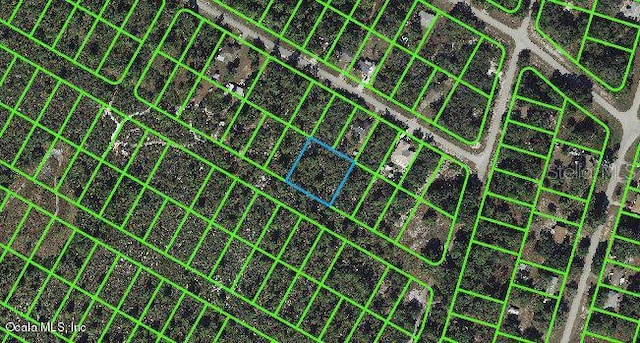 1056 Freehill Ave, Lake Placid FL, 33852 land for sale